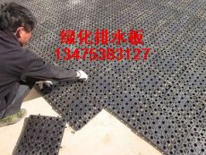 排水板 北京排水板 北京绿化排水板 北京车库顶板