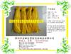 黑龙江供应优质蔬菜网眼袋