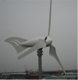 渔民专用风力发电机300W风力发电设备