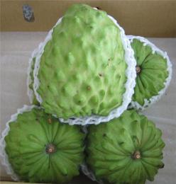 台湾释迦水果