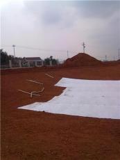 膨润土防水毯人工湖最有效的防水产品