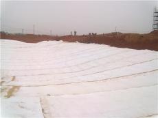 杭州湖州台州GCL天然钠基膨润土防水毯