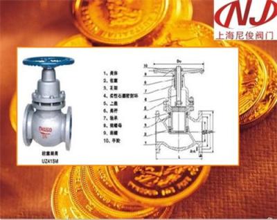 UZ41SM-16C法兰柱塞闸阀 铸钢阀门