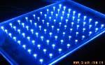 LED發光玻璃 發光玻璃 鋼化玻璃