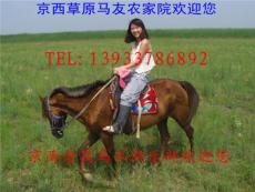 北京骑马的地方 京西草原