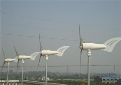 风力发电机S300W-12V