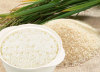 长期特价批发东北大米 优质大米 大米批发