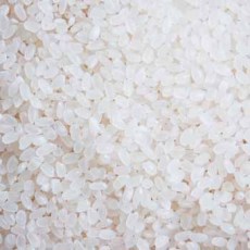 长期特价批发珍珠米 优质珍珠米 珍珠米批发