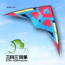 潍坊三月三风筝 双线特技风筝 达人首选