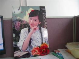欧式木板画平板彩绘机