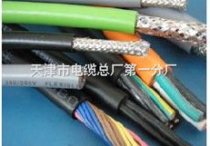 HJYV/SA 成束阻燃通訊電纜