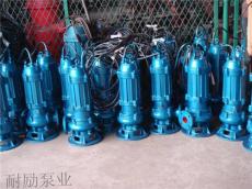 上海耐励水泵厂/污水排污泵/潜水排污泵价格/潜水泵厂家