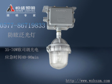 三防灯-WF200 WF210系列三防灯具 泛光灯供应
