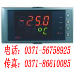 福州虹润 60段PID调节器 NHR-5400系列