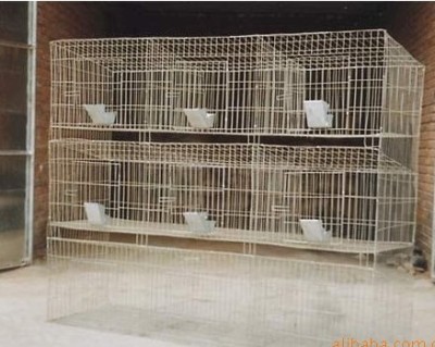 厂家低价促销优质的兔笼-带底兔笼