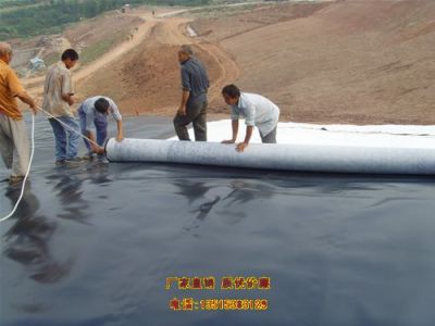 临夏土工格栅厂家供应