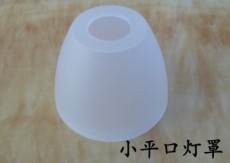 专业生产塑胶灯罩