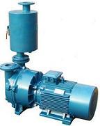 水环真空泵厂-水环真空泵原理-水循环真空泵选型