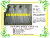 深圳网袋 尼龙网袋 包装袋 干果网袋 网袋厂