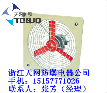 湖南FAG-300防爆排风扇 岳阳市 益阳市防爆排风扇