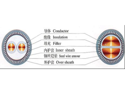 国标铠装阻燃软电缆ZR-VVR22