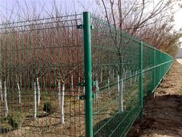 供应园林围栏网 单位绿地防护网 草坪围栏网